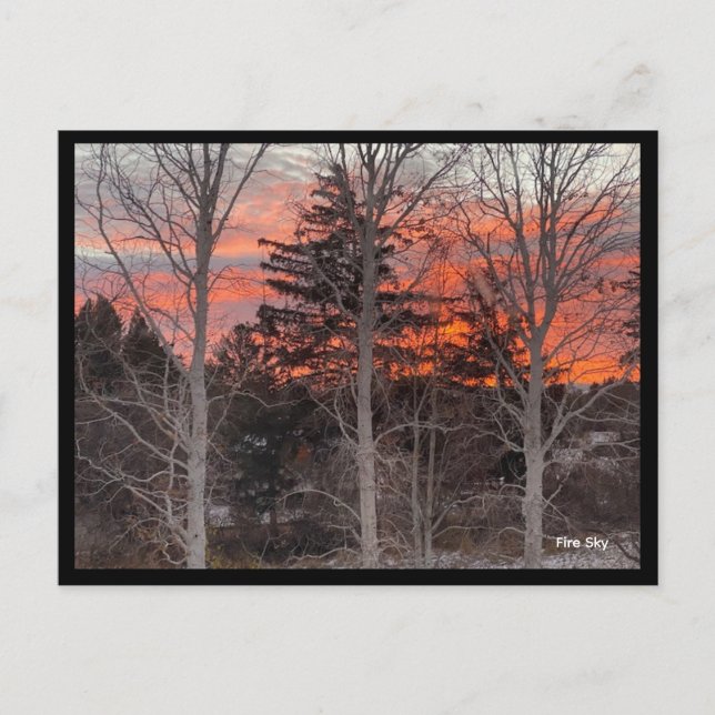 Cartão Postal Fire Sky Through Winter Trees (Frente)