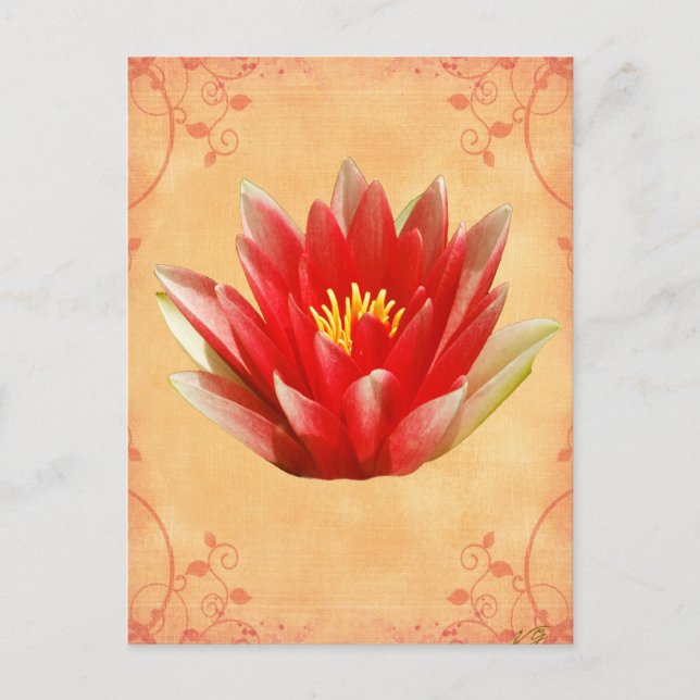 Cartão Postal First Chakra Gift (Frente)