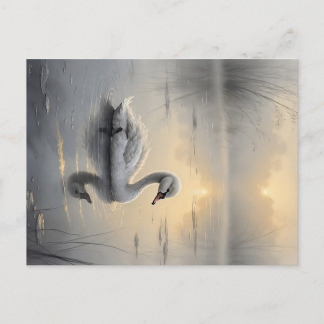 Cartão Postal First Light Kin Swan Postcard (Frente)
