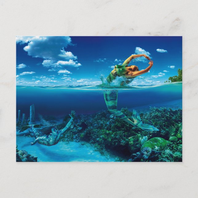 Cartão Postal Fische - Postkarte (Frente)