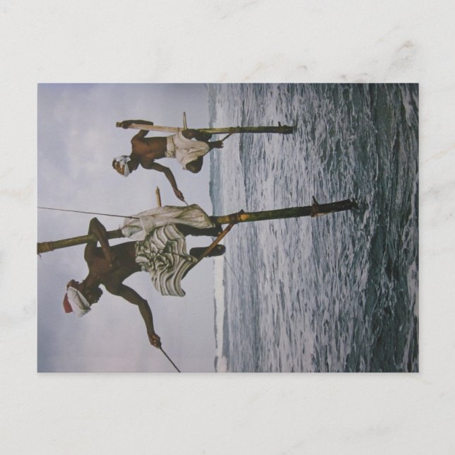 Cartão Postal Fischer no Sri Lanka - Postkarte (Frente)