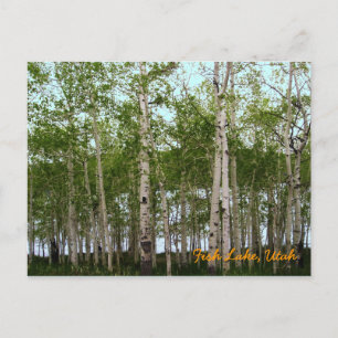 Cartão Postal Fish Lake, Utah