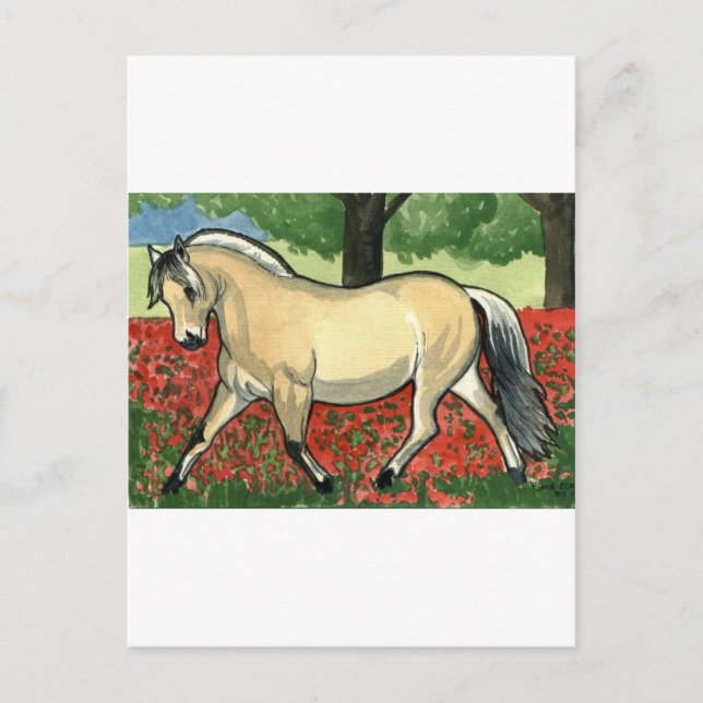Cartão Postal Fjord HORSE ART norueguês (Frente)