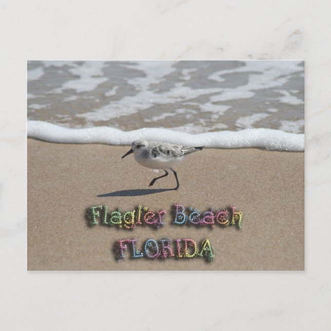 Cartão postal Flagler Beach (Frente)