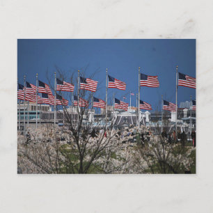 Cartão Postal Flagres por Motivos de Capital