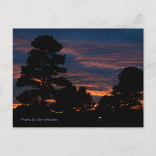 Cartão postal / Flagstaff Sunset