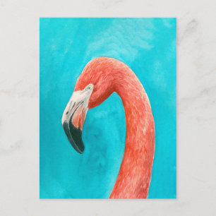 Cartão Postal Flamingo