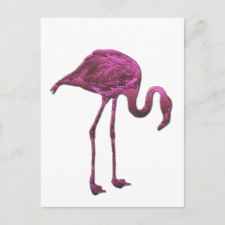 Cartão Postal flamingo