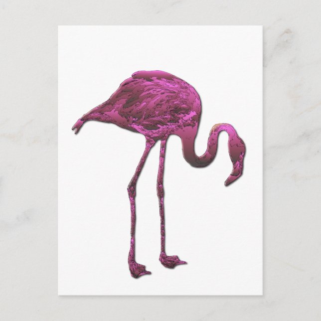 Cartão Postal flamingo (Frente)