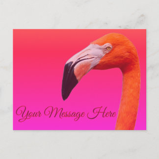 Cartão Postal Flamingo