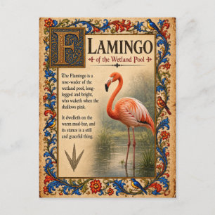 Cartão Postal Flamingo, Arte de Bestiário Medieval