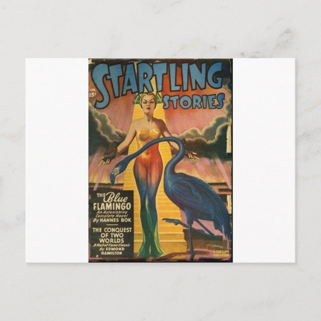 Cartão Postal Flamingo Azul (Frente)