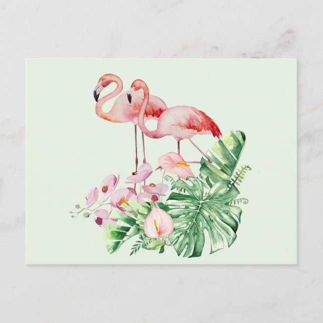 Cartão Postal Flamingo Birds, Flores Tropicais e Folhas (Frente)