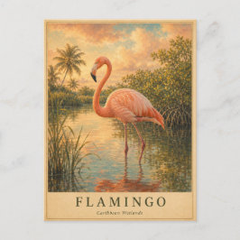 Cartão Postal Flamingo Caribbean Wetlands VINTAGE