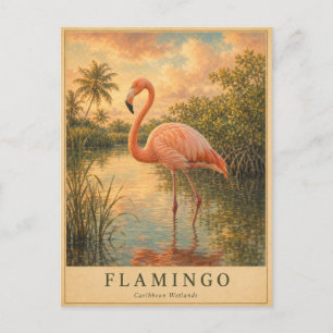 Cartão Postal Flamingo Caribbean Wetlands VINTAGE
