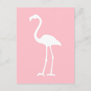 Cartão Postal Flamingo Cor-de-rosa e branco