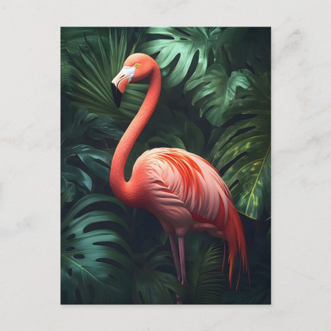 Cartão Postal Flamingo e Folhas da Selva (Frente)