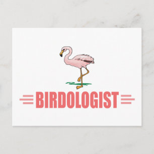 Cartão Postal Flamingo Engraçado de Observação de Aves