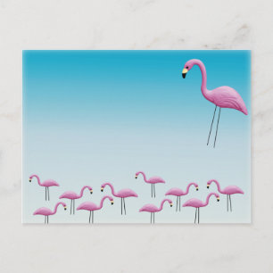 Cartão Postal Flamingo Flock