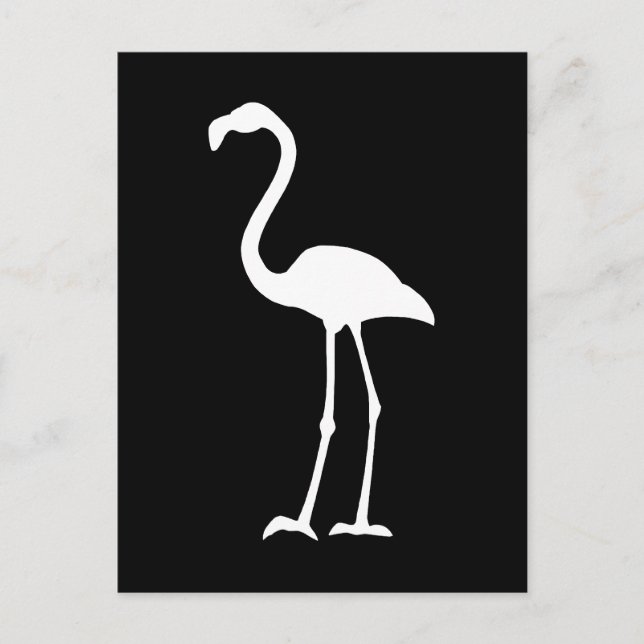 Cartão Postal Flamingo Negro e Branco (Frente)