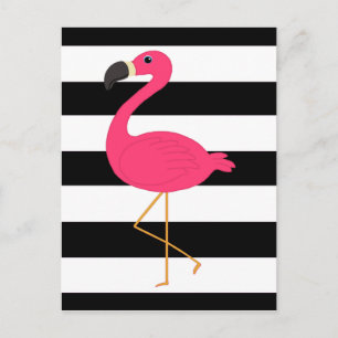 Cartão Postal Flamingo preto e branco do rosa da listra
