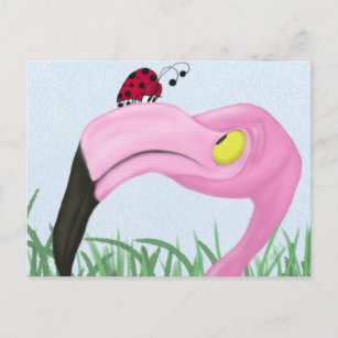 Cartão Postal Flamingo Rosa bonito