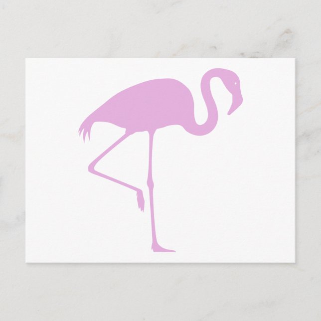 Cartão Postal Flamingo Rosa Clássico (Frente)