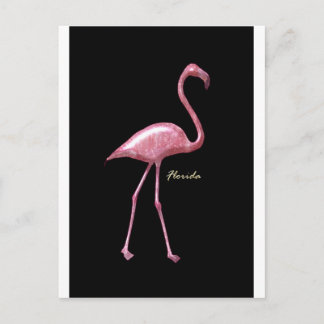 Cartão Postal Flamingo Rosa Flórida