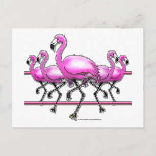 Cartão Postal Flamingo Strip