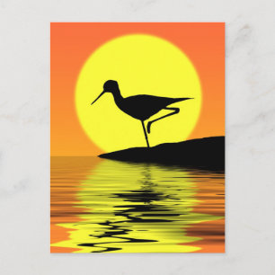 Cartão postal Flamingo Sunset
