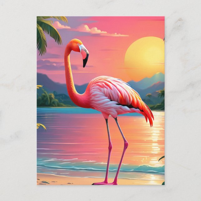 Cartão Postal Flamingo Sunset Praia Tropical (Frente)