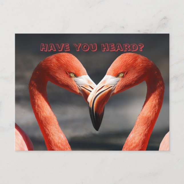 CARTÃO POSTAL FLAMINGO TALK MUDANÇA DE PLACA DE ENDEREÇO (Frente)