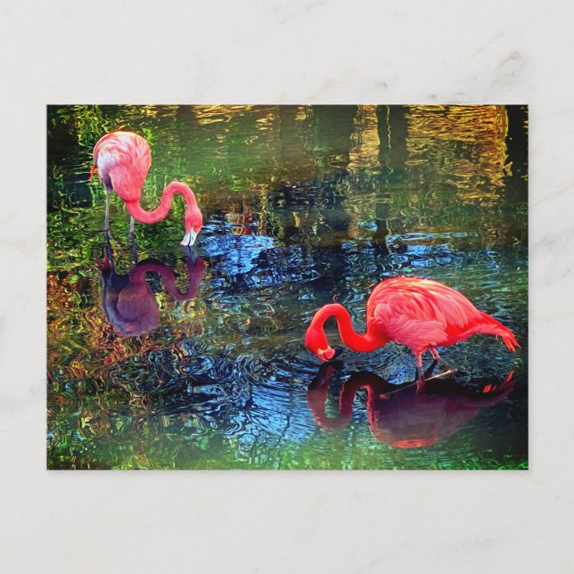 Cartão Postal Flamingos (Frente)