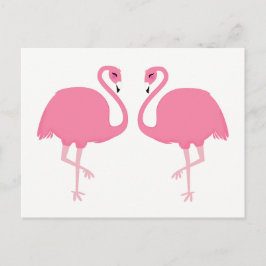 Cartão postal Flamingos