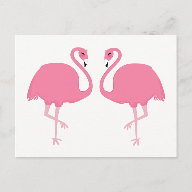 Cartão postal Flamingos (Frente)