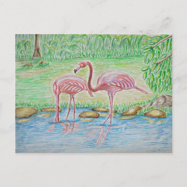 Cartão Postal Flamingos (Frente)