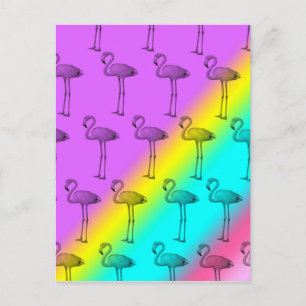 Cartão Postal Flamingos 2