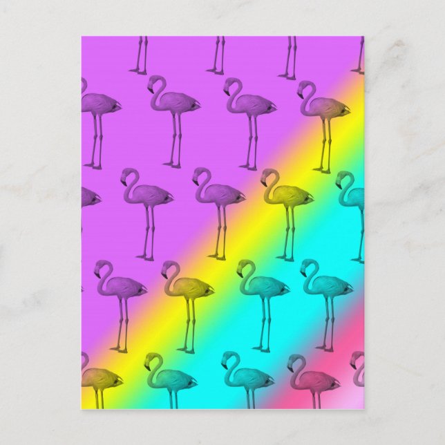 Cartão Postal Flamingos 2 (Frente)