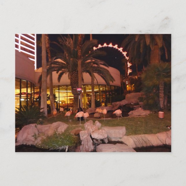 Cartão Postal Flamingos, Cartão-postal Las Vegas (Frente)