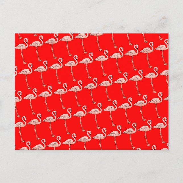 Cartão Postal Flamingos cor-de-rosa no desfile (Frente)