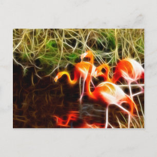 Cartão Postal Flamingos Eletrificados