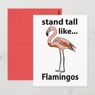 Cartão Postal Flamingos Ficam de Pé como Flamingos Flamingo