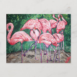 Cartão Postal "Flamingos Flamboyantes"