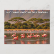 Flamingos no Parque Nacional do Lago de Manyara, n