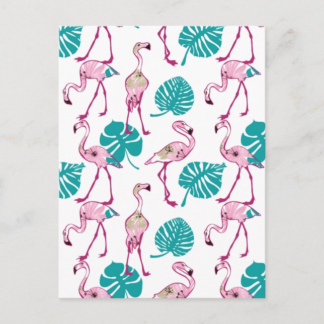 Cartão Postal Flamingos Rosa (Frente)