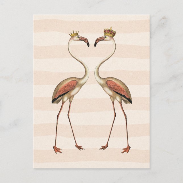 Cartão Postal Flamingos Rosa em Coroas (Frente)