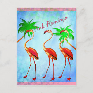 Cartão Postal Flamingos Rosa Funky Palmeiras Céu Azul