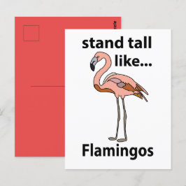 Cartão Postal Flamingos São Altos Como Flamingos Flamingo