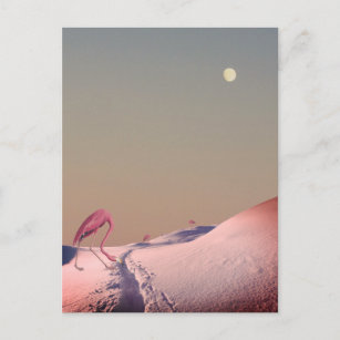 Cartão Postal flamingos surreais na neve
