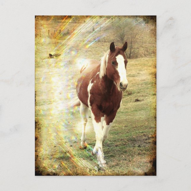 Cartão Postal Flashy (Frente)